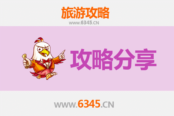 琼中出发探秘南澳岛：热带农场与海岛风情的完美融合之旅